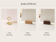 Set of 10 Deckle Edge Table Numbers - Ready to Ship with Optional Stands, Wedding Reception Event Signage, Minimalist Table Setting, 5x7